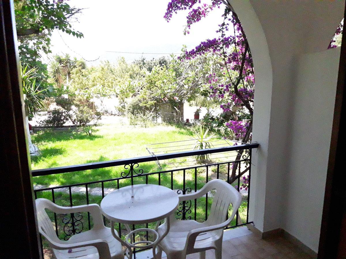 Studios Dimitris Punta Exterior foto